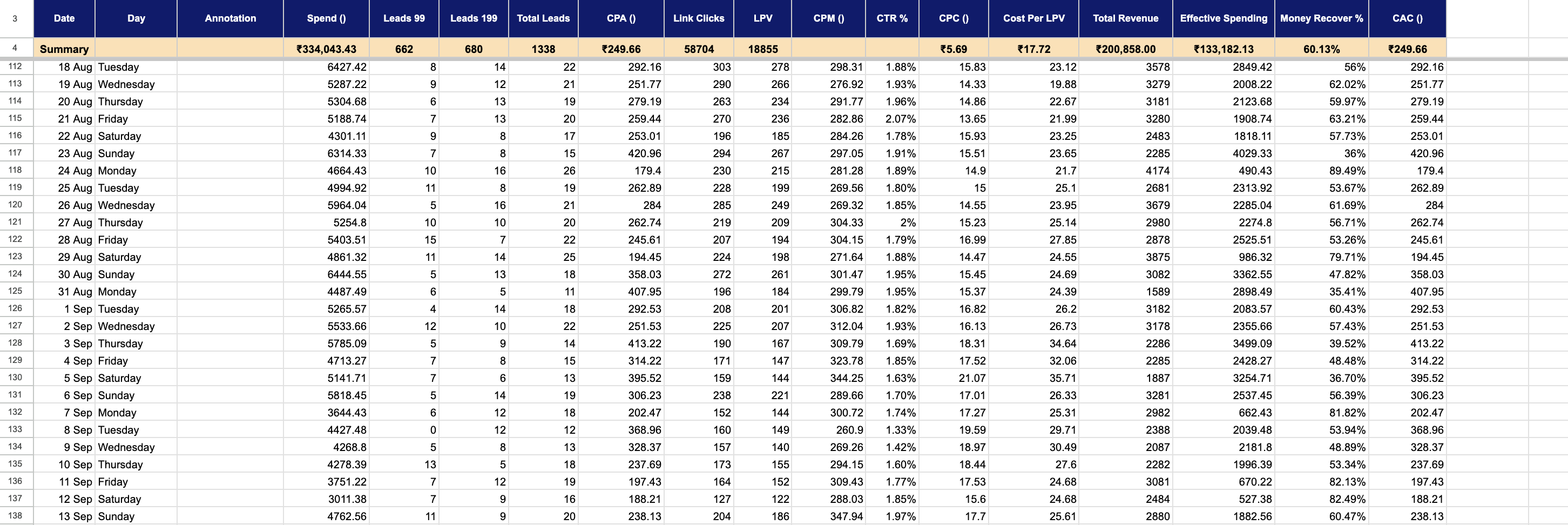 Screenshot of our internal campaign tracker spreadsheet showing daily ad spend, leads, CPA, CTR, revenue and CAC
